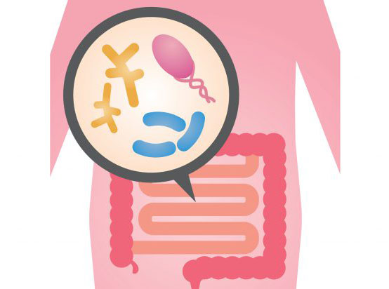 microbiote repartition graisses enfant adolescent