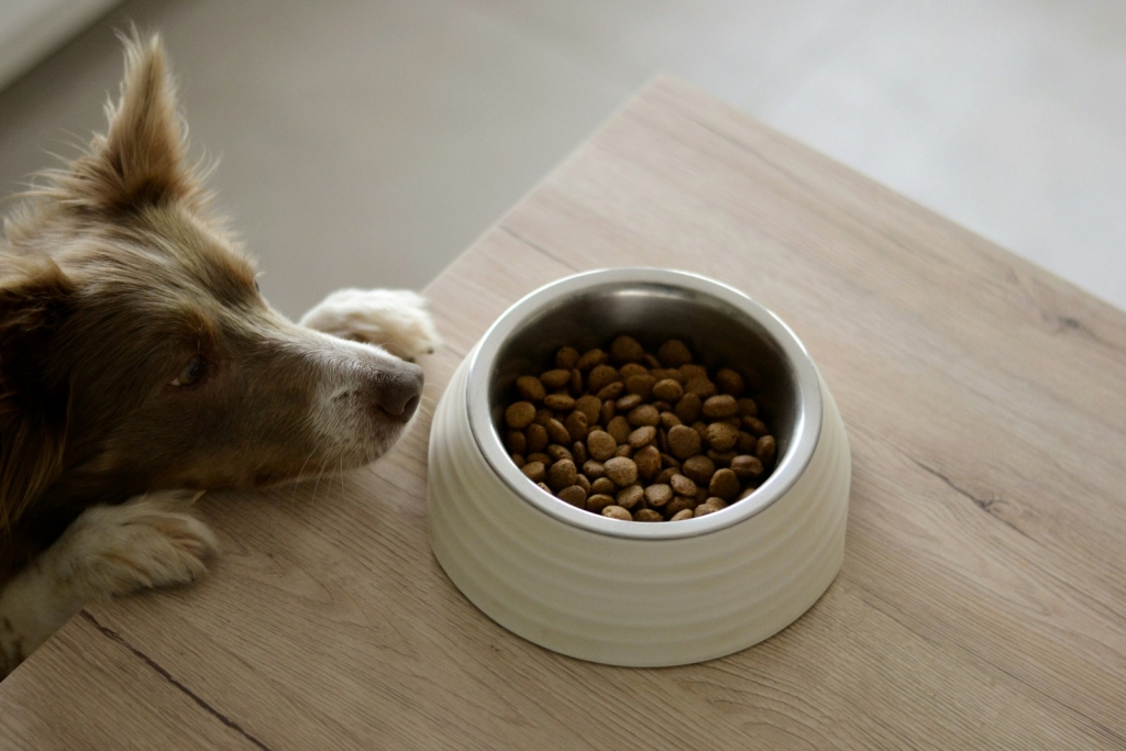 Pet food